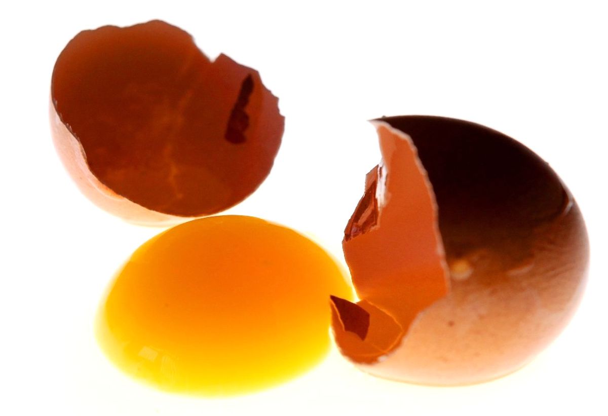 Her Gün Bir Yumurta Çocuk Gelişimine Katkı Sağlıyor