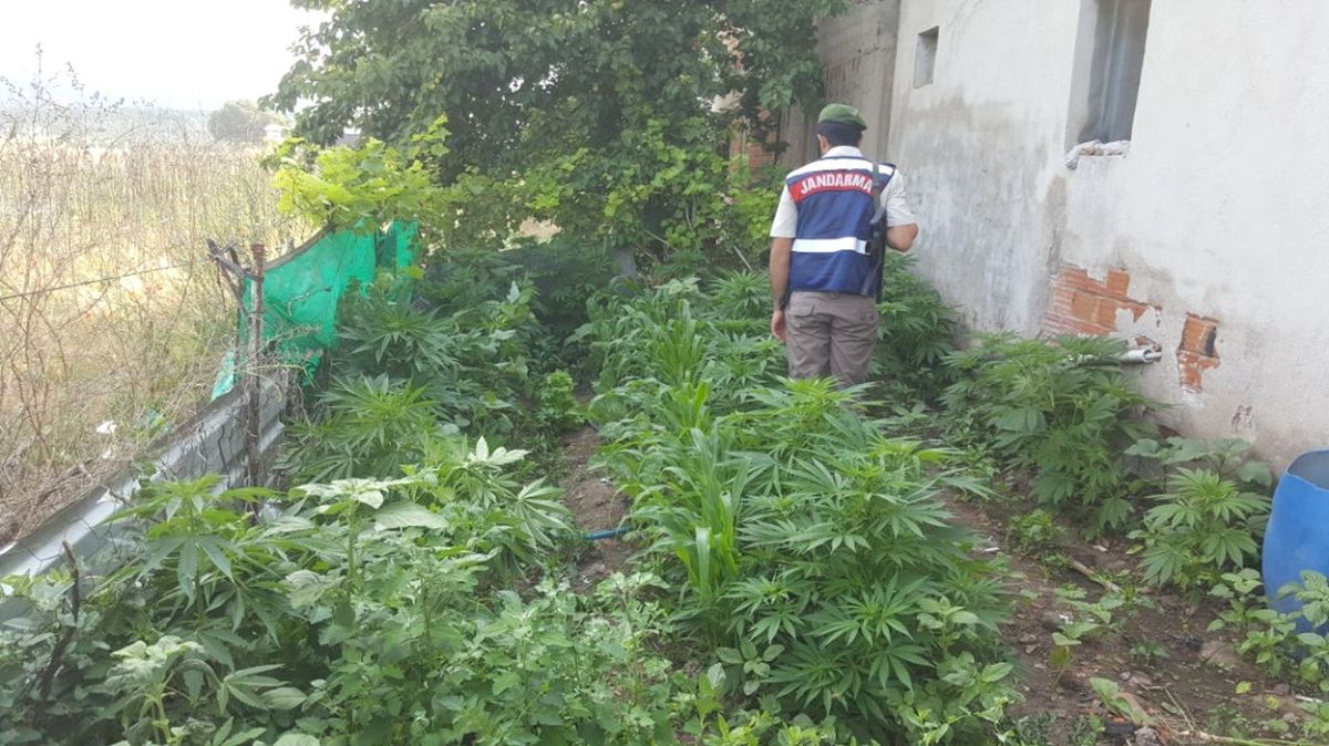 İzmir\'de Uyuşturucu Operasyonu