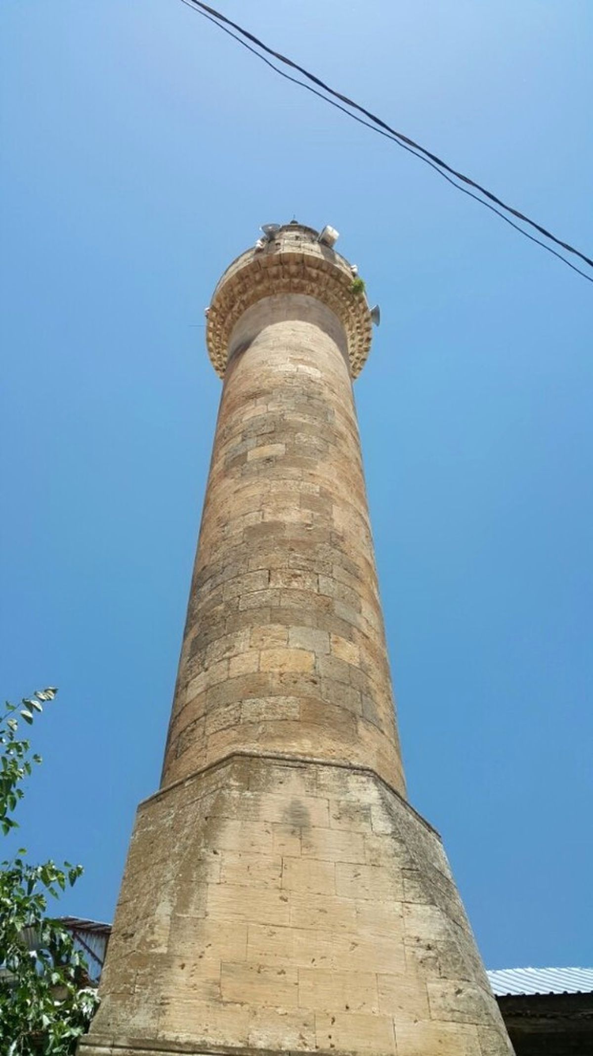 Minarenin Şerefesinde Bitki Yetişti
