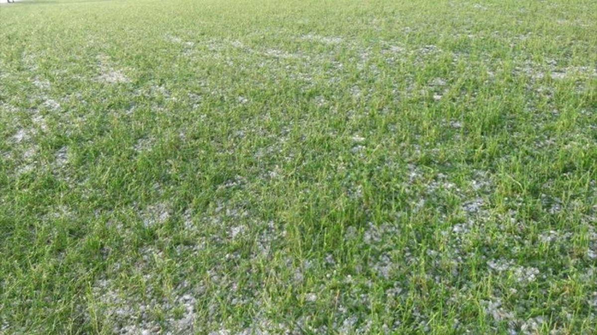 Yozgat\'ta 25 Köyde Ekili Alanlar Doludan Zarar Gördü