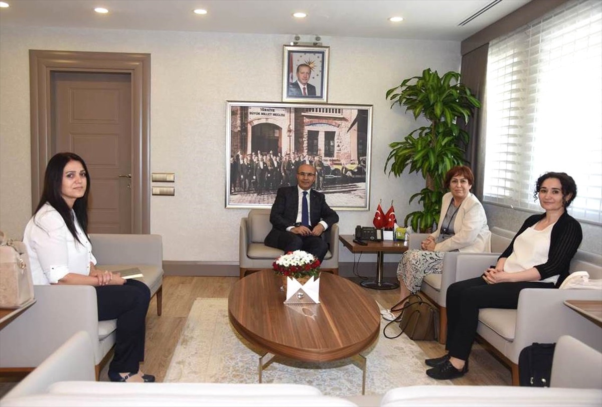 AB Bakanlığı Heyetinden Vali Demirtaş\'a Ziyaret