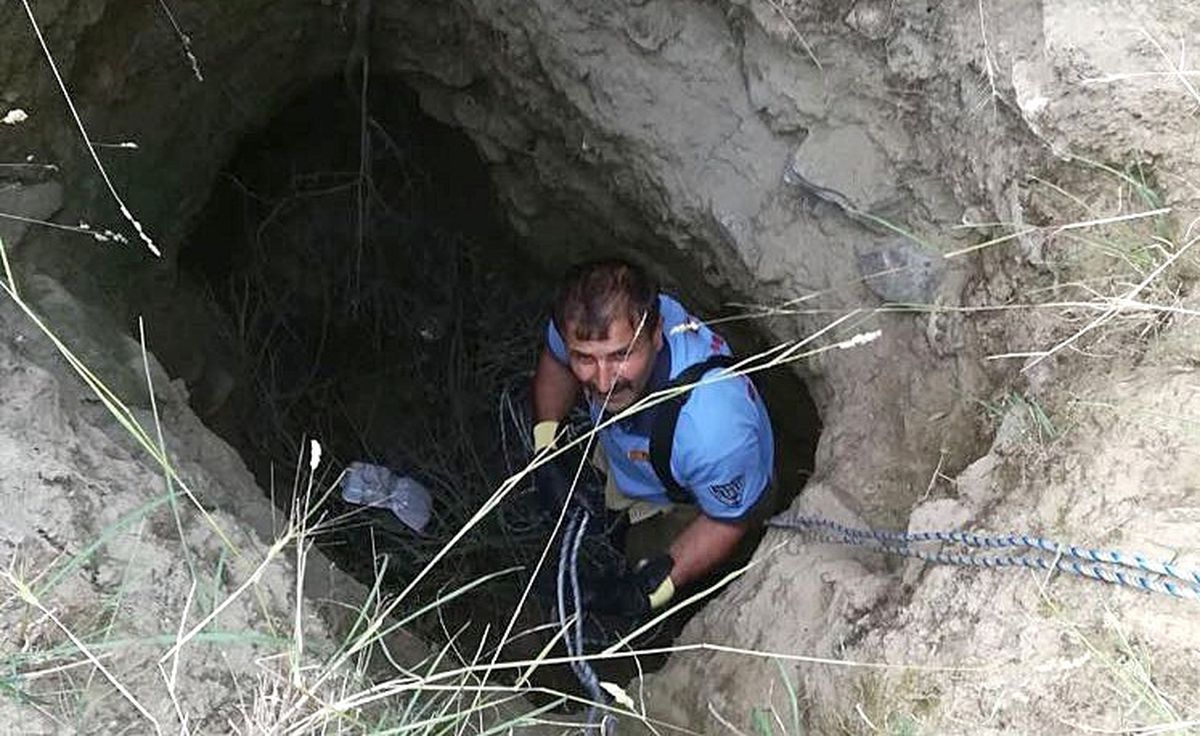 Define İçin Kazılan Çukura Düşen Kaplumbağayı İtfaiye Kurtardı