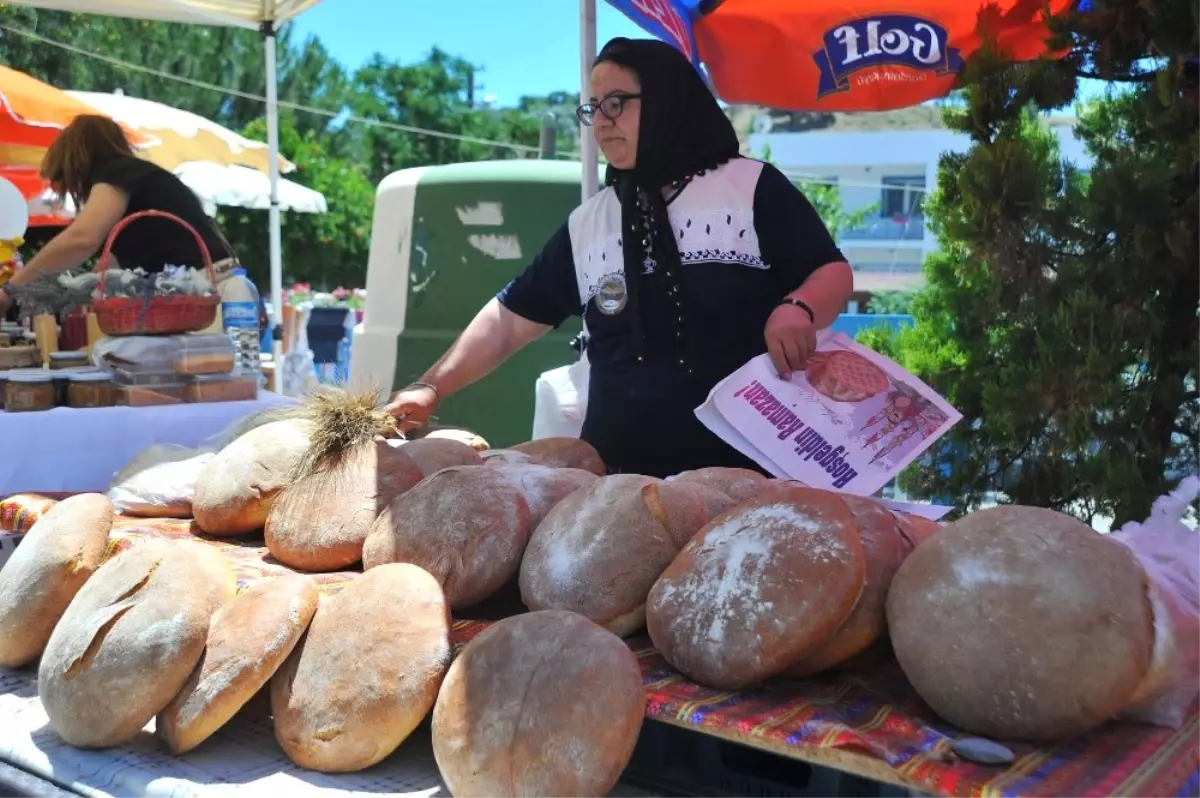 Ekmek Yetişmeyen Şenlik