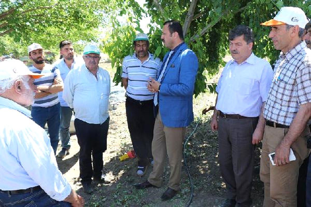Elazığ\'da Doludan 40 Bin Dekar Alan Etkilendi