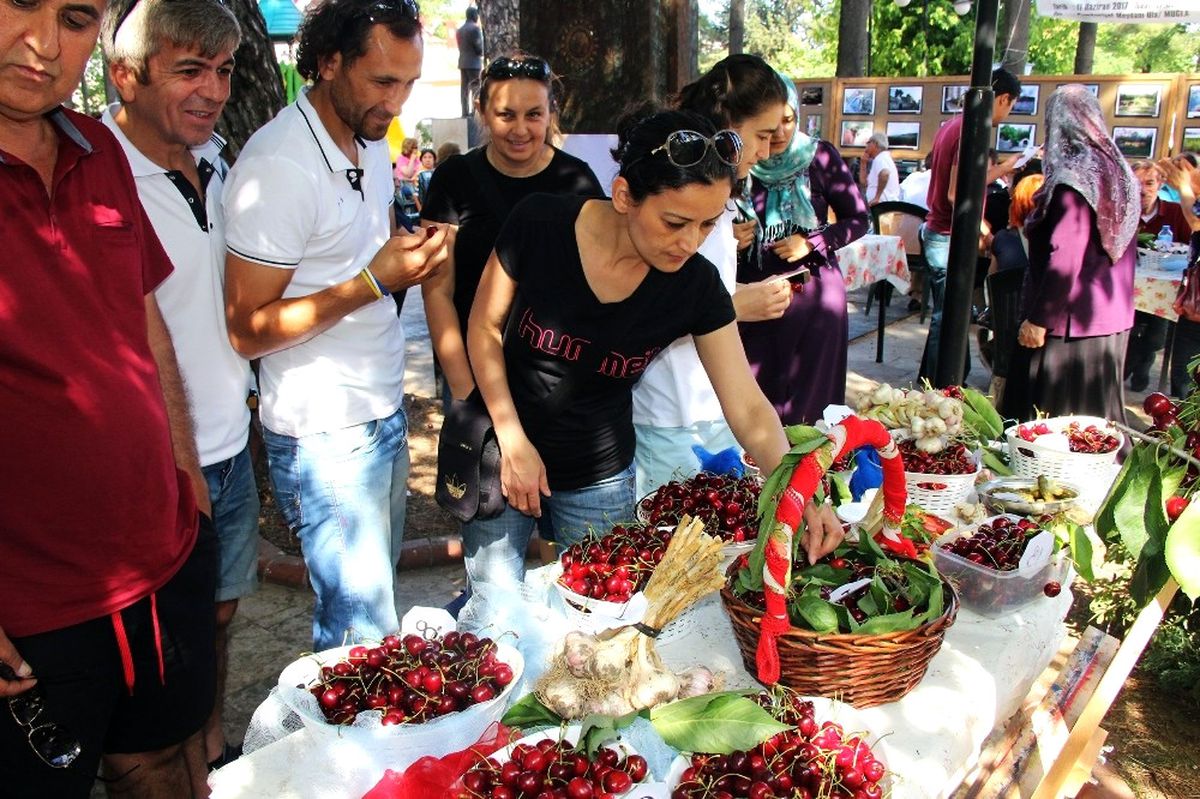 Muğla\'da Sarımsak ve Kiraz Şenliği