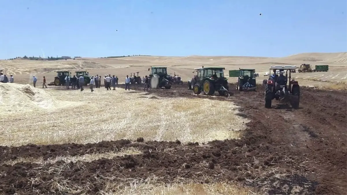 Yangında 50 Dönümlük Buğday ve Arpa Kül Oldu