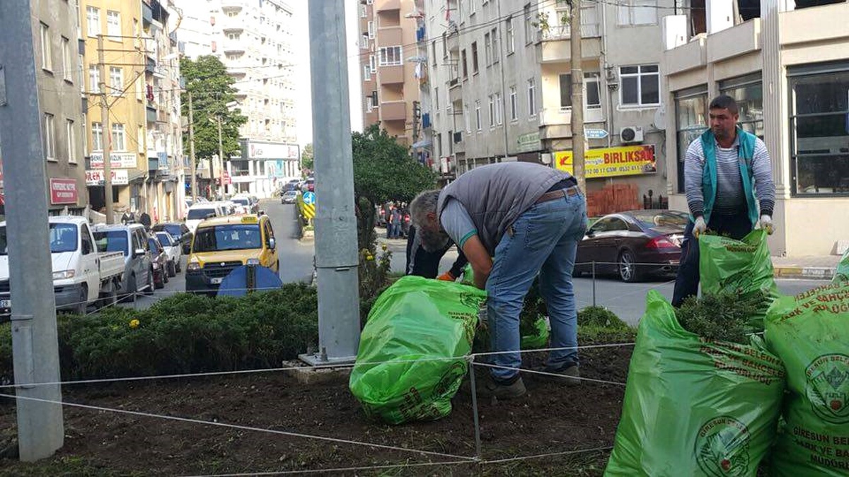 Giresun Belediyesinin Park ve Yeşil Alanlardaki Çalışmaları