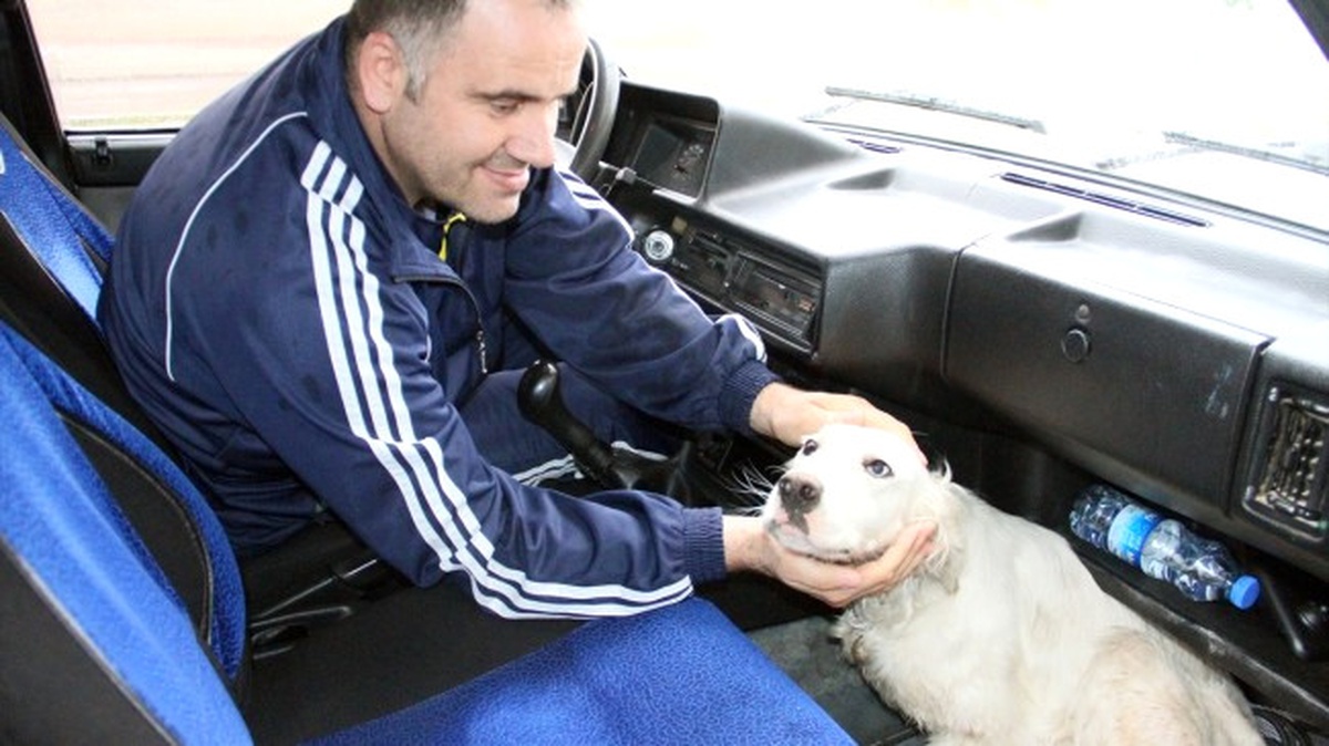 İki Gözü Farklı Renkte Olan Köpek İlgi Çekiyor