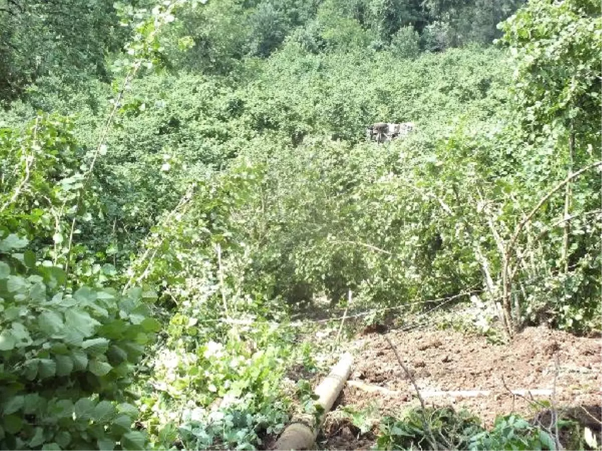 Kontrolden Çıkan Kamyon Uçuruma Yuvarlandı: 1 Yaralı