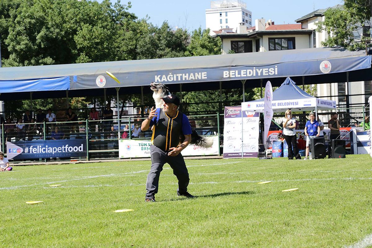 Köpek Sahibiyseniz Bu Sporu Mutlaka Deneyin
