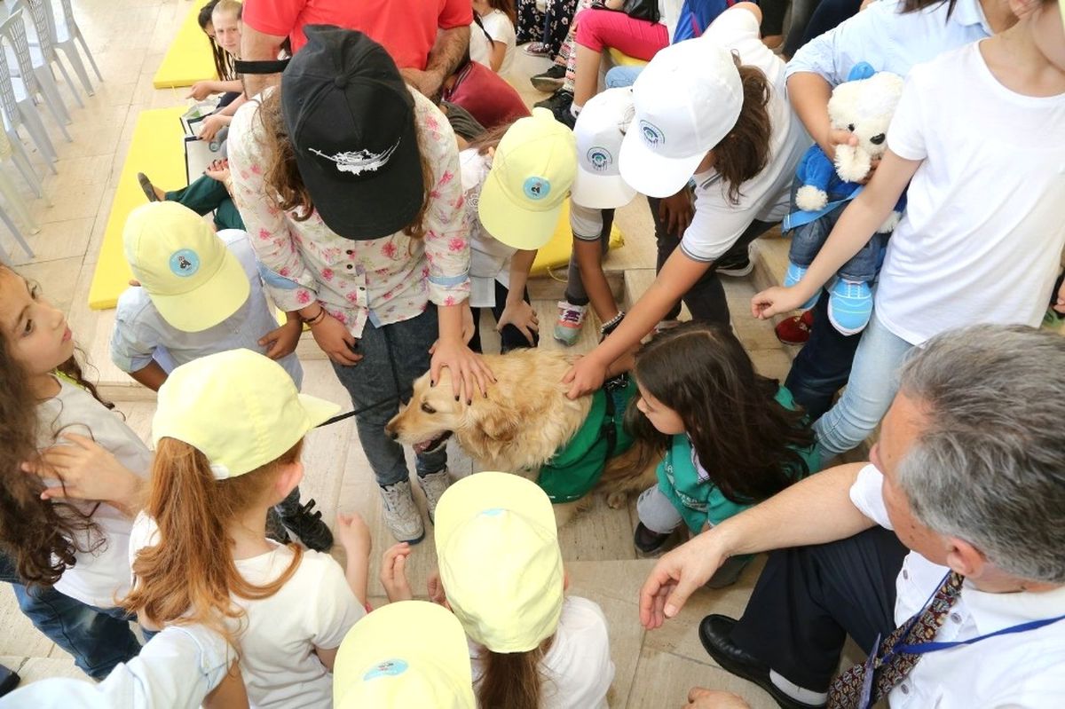Odunpazarı\'nın Çevreci Köpeği Abdiş