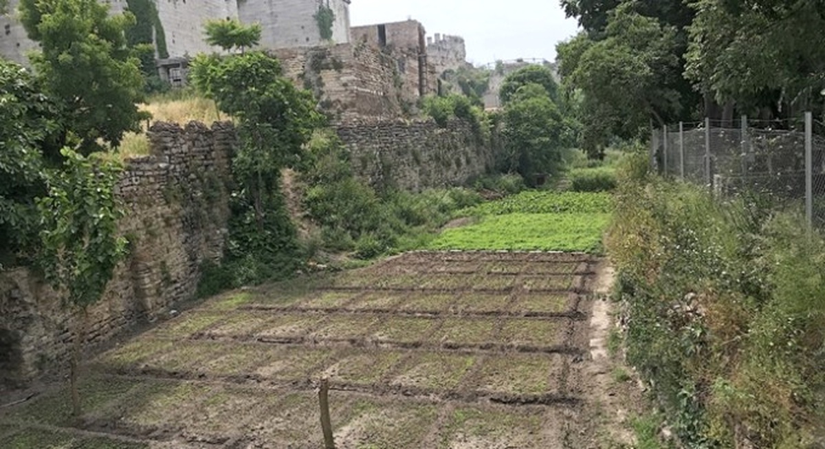 Tarihi Yarımadada Bir Kültür Vadisi: Zeytinburnu