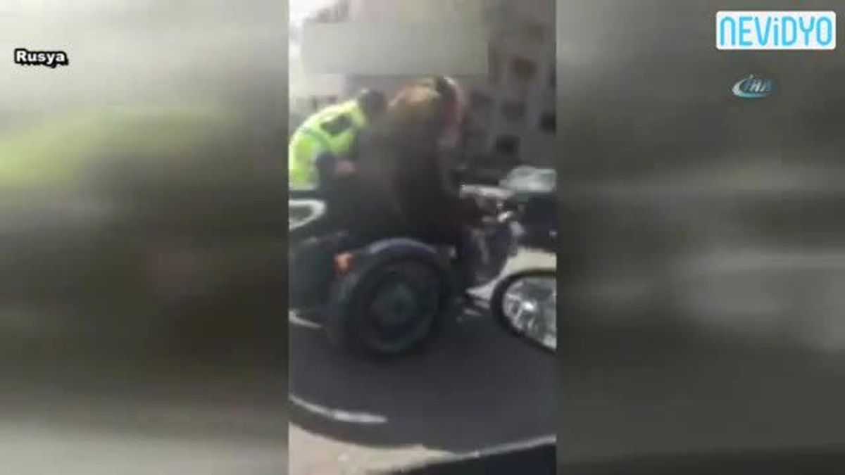 Trafikte Ayı Var!