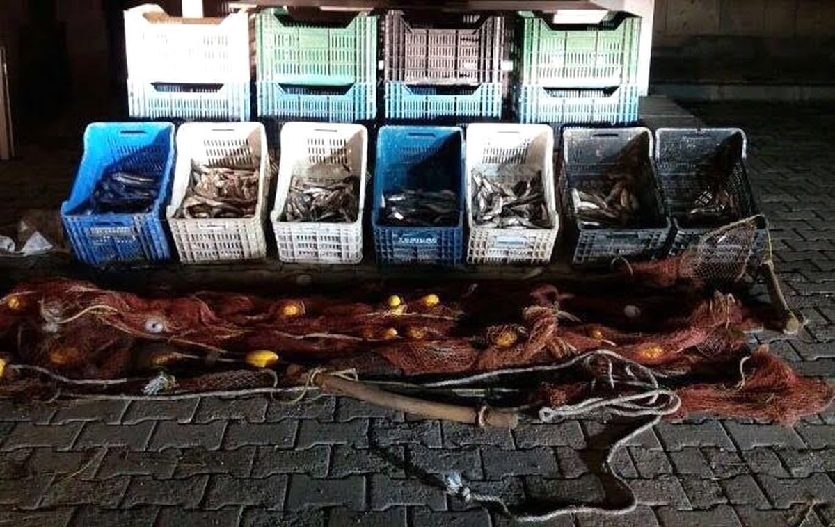 Ahlat\'ta 100 Kilo Kaçak Avlanmış İnci Kefali Ele Geçirildi