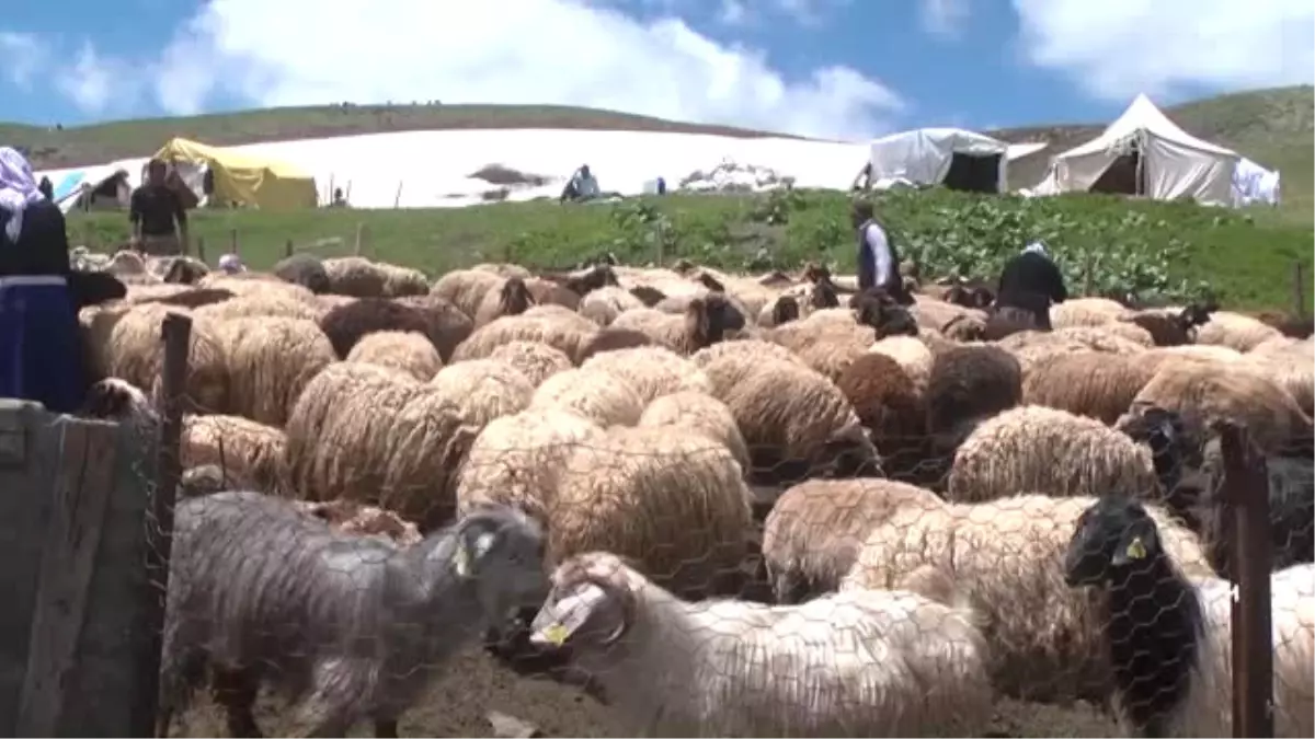 Doğu\'da Yayla Mevsimi Başladı