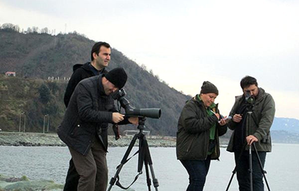 Doğu Karadeniz\'de 28 Türden 26 Bin 826 Su Kuşu Tespit Edildi