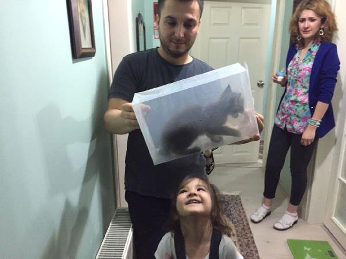Havalandırma Boşluğuna Düşen Kedi Duvar Kırılarak Kurtarıldı