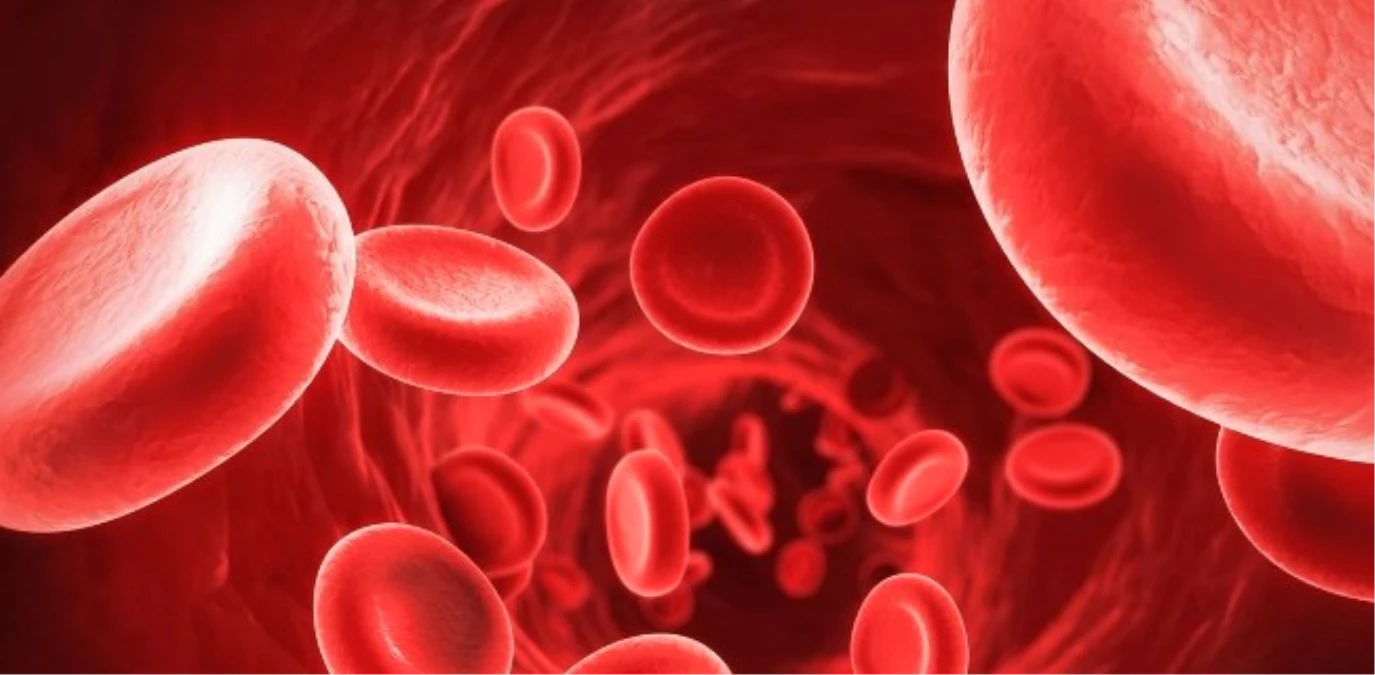 Kan Plazmasına 200 Milyon Euroluk Yatırım