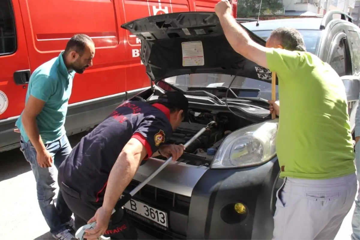 Motora Giren Kedi, Su Dökülerek Çıkartıldı