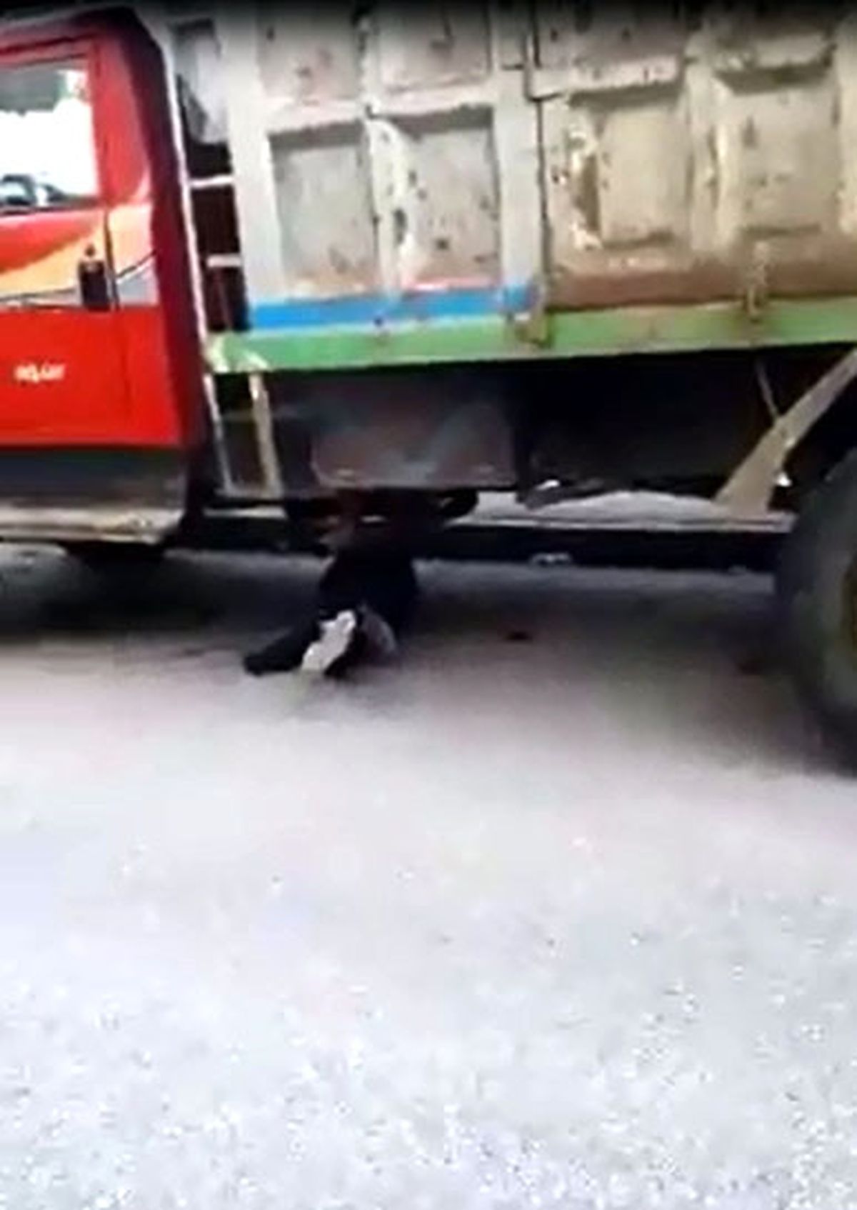 Bonzai Kullanan Gencin İçler Acısı Hali