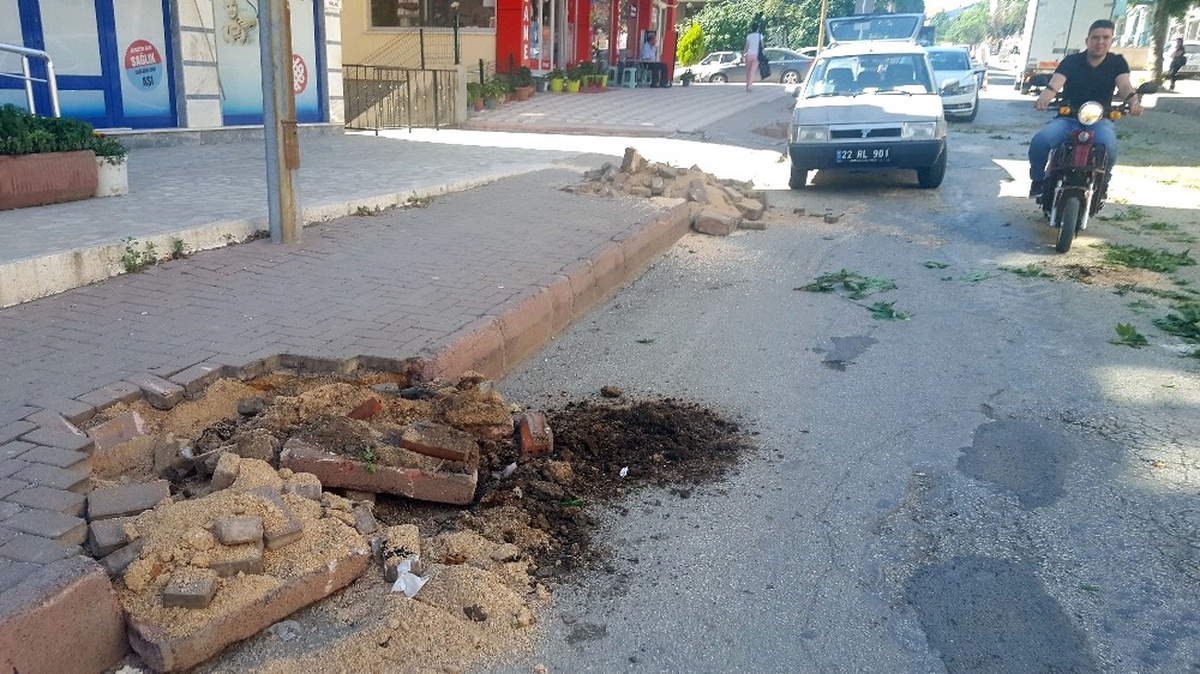CHP\'li Belediye Yol Genişletmek İçin Ağaçları Kesti