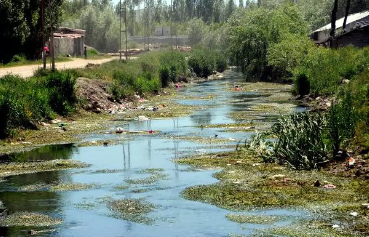 Derelere Atılan Çöpler Van Gölü\'nü Kirletiyor