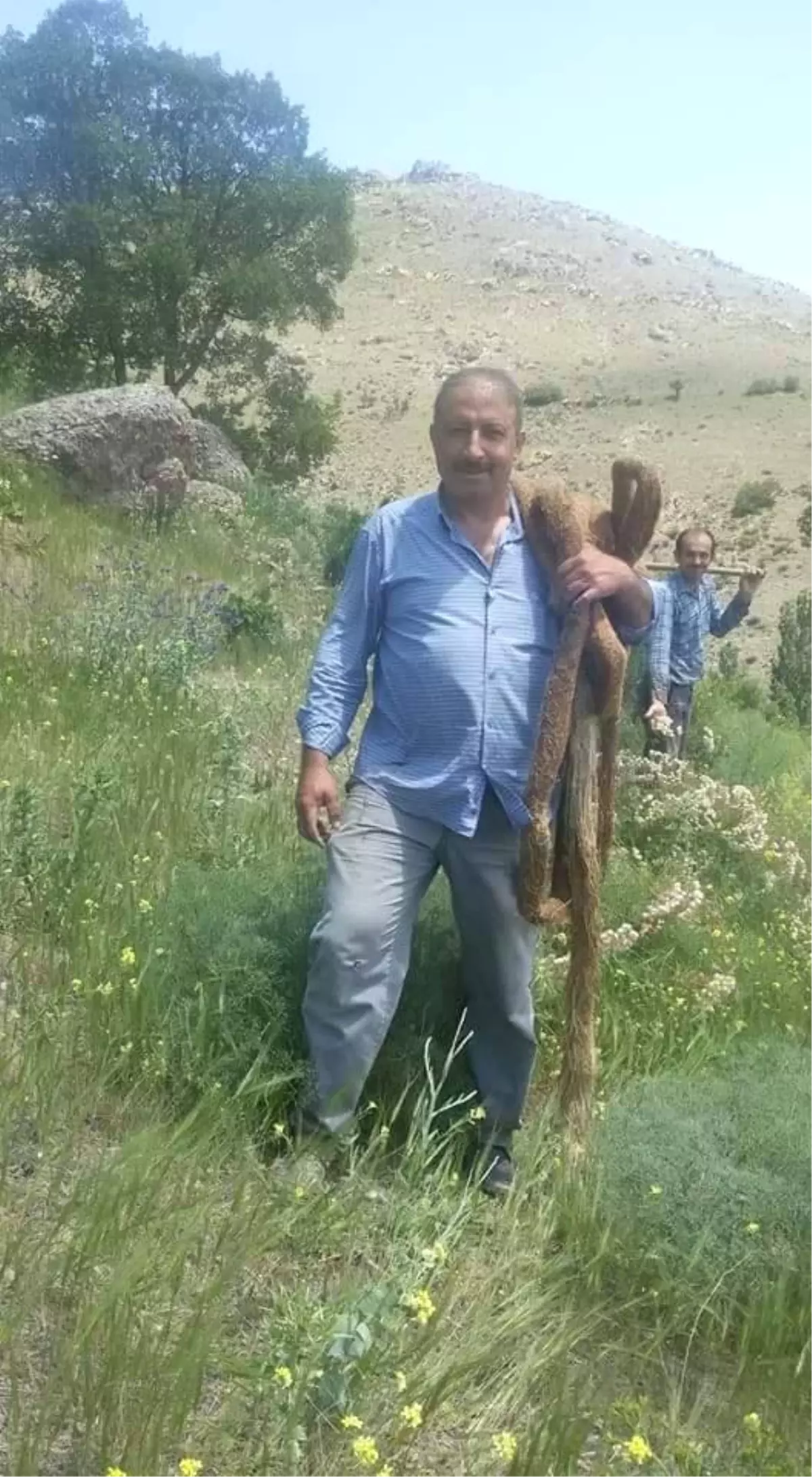 İçme Suyu Borusunun İçinden 13 Metre Söğüt Ağacı Kökü Çıktı