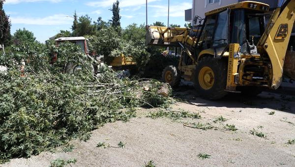 Keşan\'da Yol Çalışmasında Ağaç Kesimine Tepki
