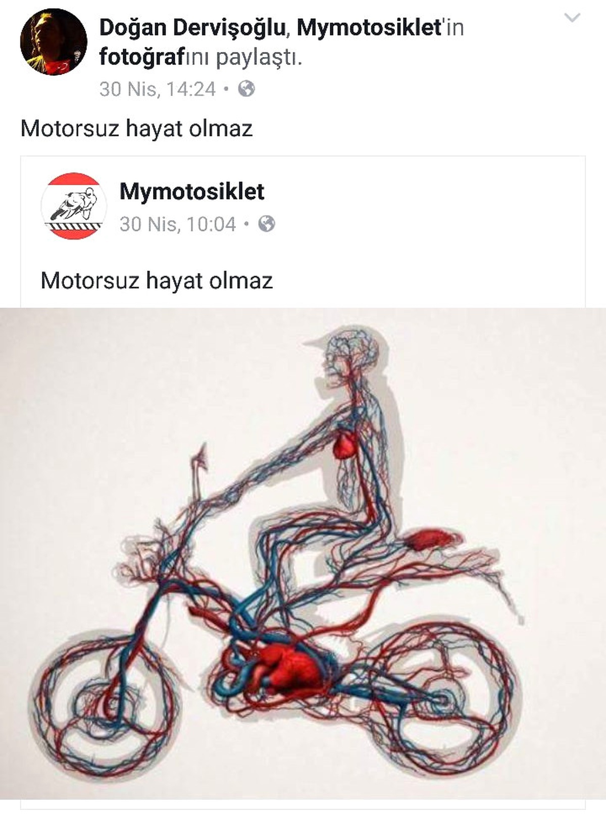 Motosikletliler İçin Değişmesi Gerektiğini Savunduğu Bariyerler Arasında Sıkışarak Can Verdi