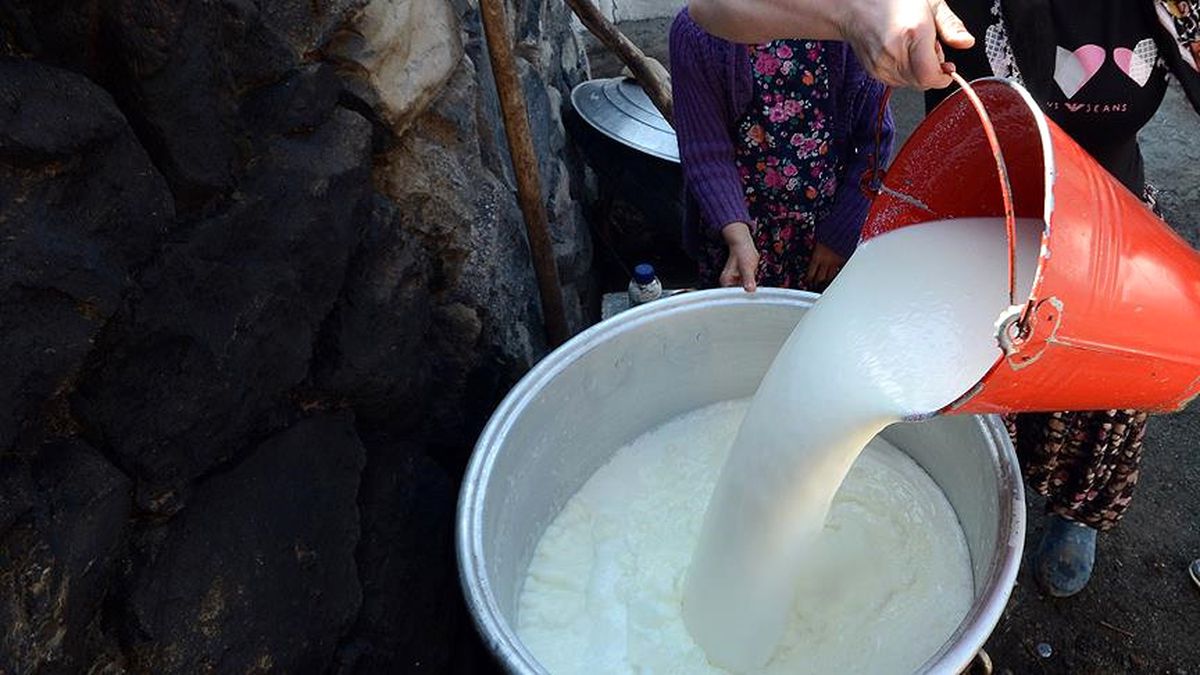Toplanan İnek Sütü Miktarı Yıllık Bazda Azaldı