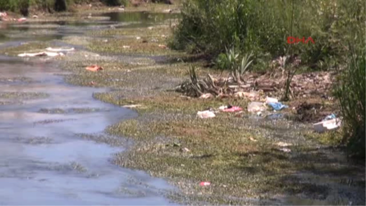 Van Su Kanalına Atılan Çöpler Van Gölü\'nü Kirletiyor