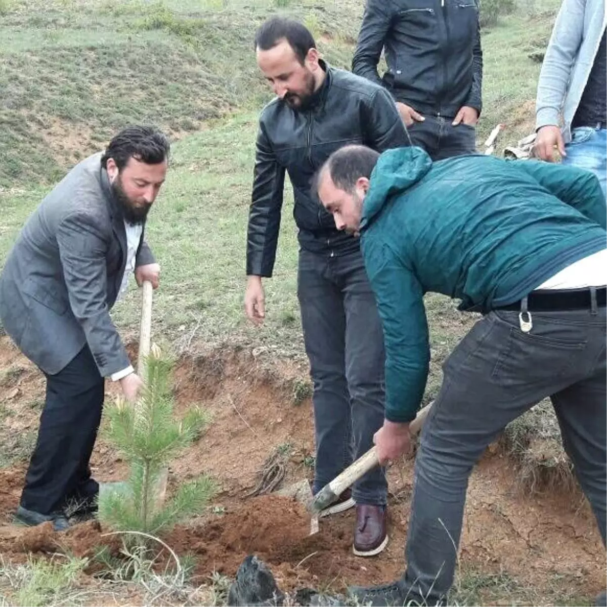 Bayburt\'ta Başbuğ Hatıra Ormanı Oluşturuldu