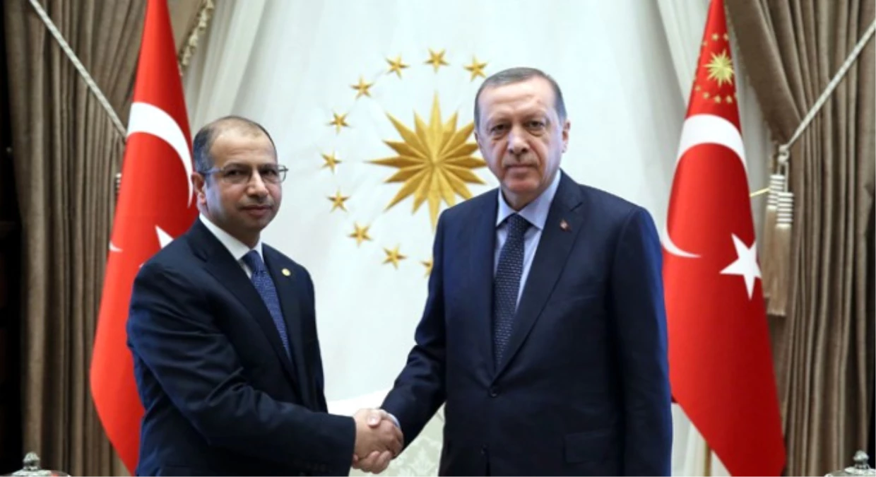 Cumhurbaşkanı Erdoğan, Irak Temsilciler Meclisi Başkanını Kabul Etti