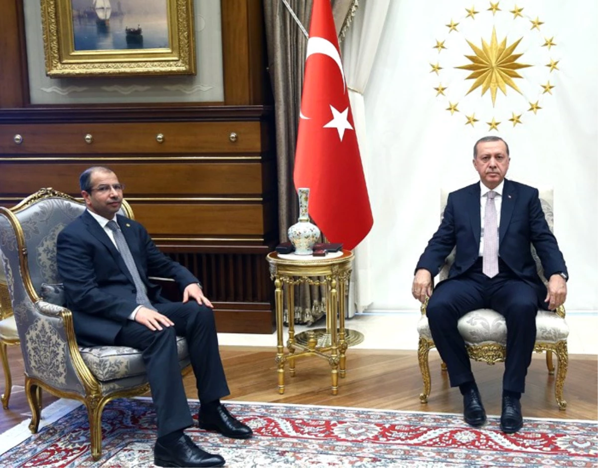 Cumhurbaşkanı Erdoğan, Irak Temsilciler Meclisi Başkanını Kabul Etti