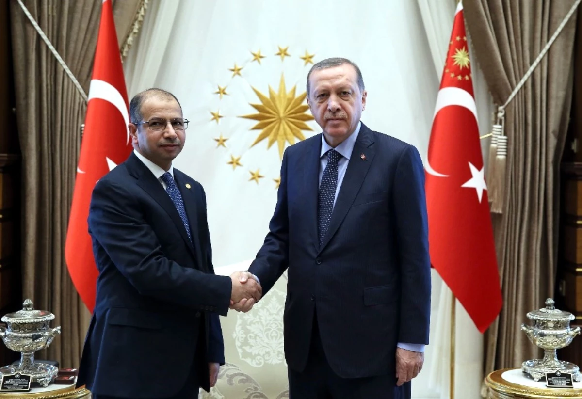 Dha Ankara- Cumhurbaşkanı Erdoğan, Irak Temsilciler Meclisi Başkanı Cuburi\'yi Kabul Etti