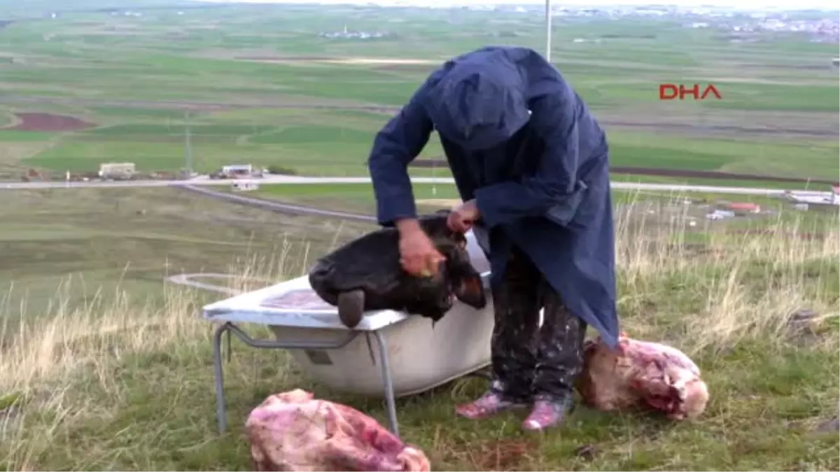 Erzurum Profesörden Teröre, Öküzbaşlı ve Küvetli Tepki