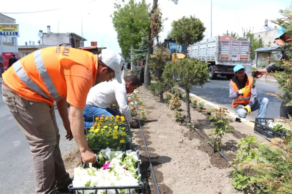 Gürün Cadde ve Sokakları Çiçeklendi