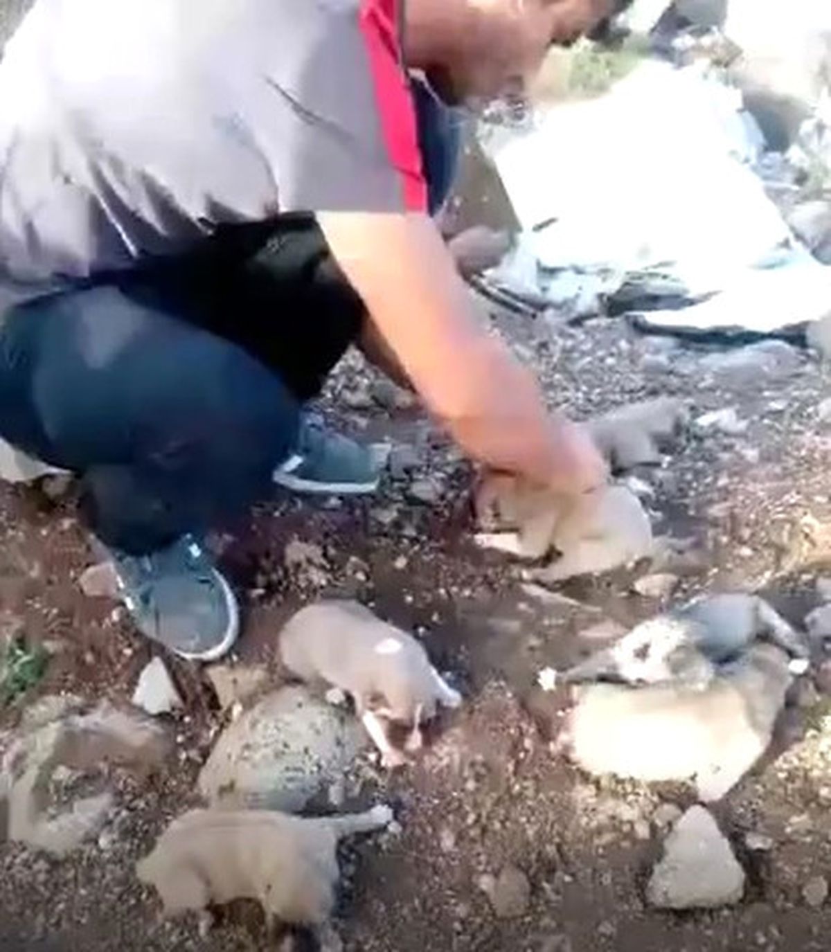 İdil\'de Kan Donduran Vahşet