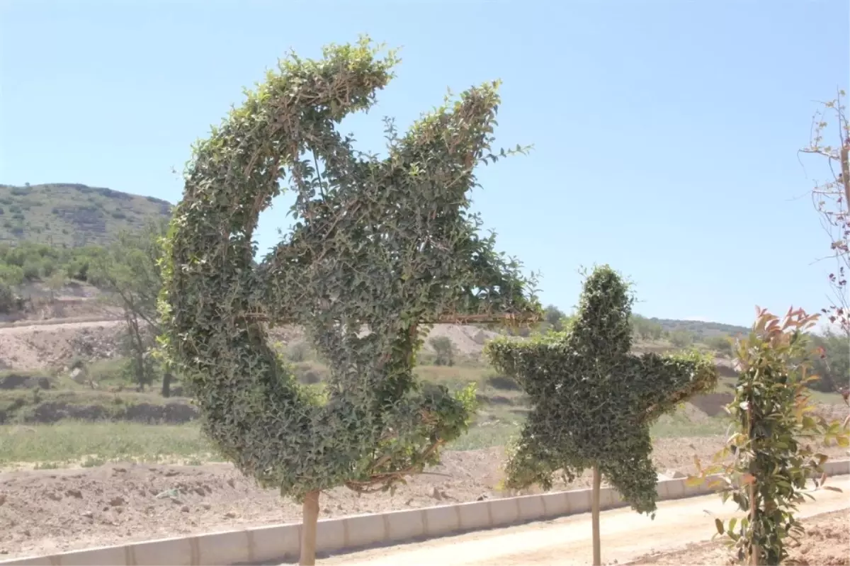 Nevşehir\'e Botanik Park Yapılıyor