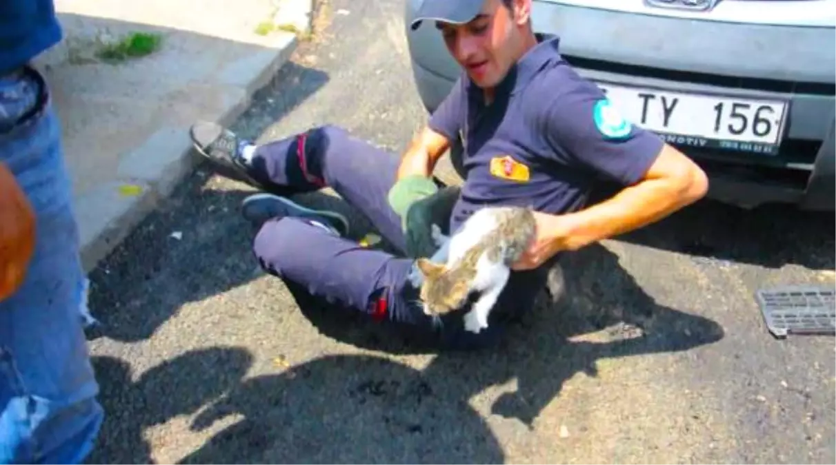 Otomobilin Radyatör Bölümüne Giren Kediyi İtfaiye Kurtardı