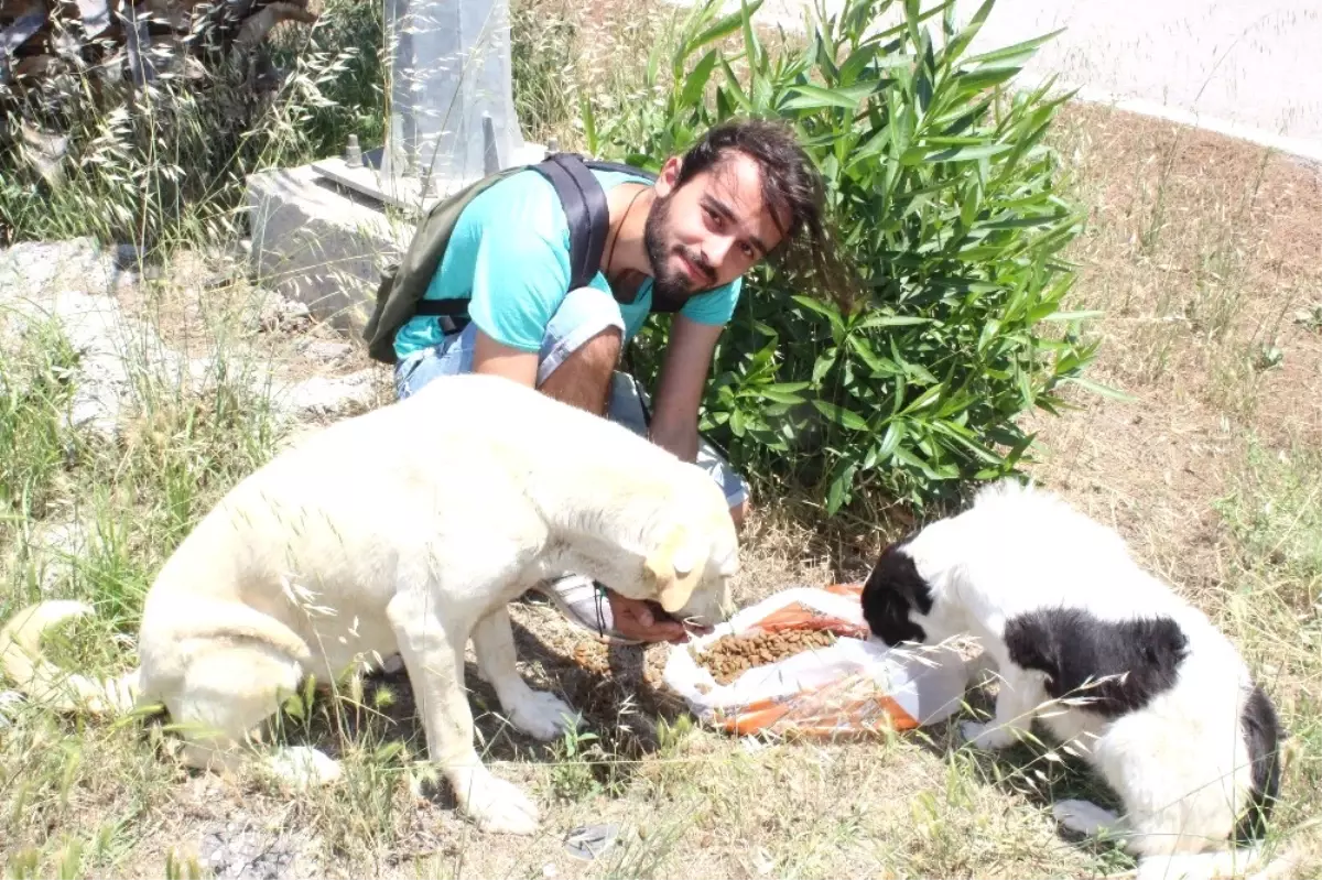 Köpek Besleyen Gençlere Saldırı Anı Kamerada