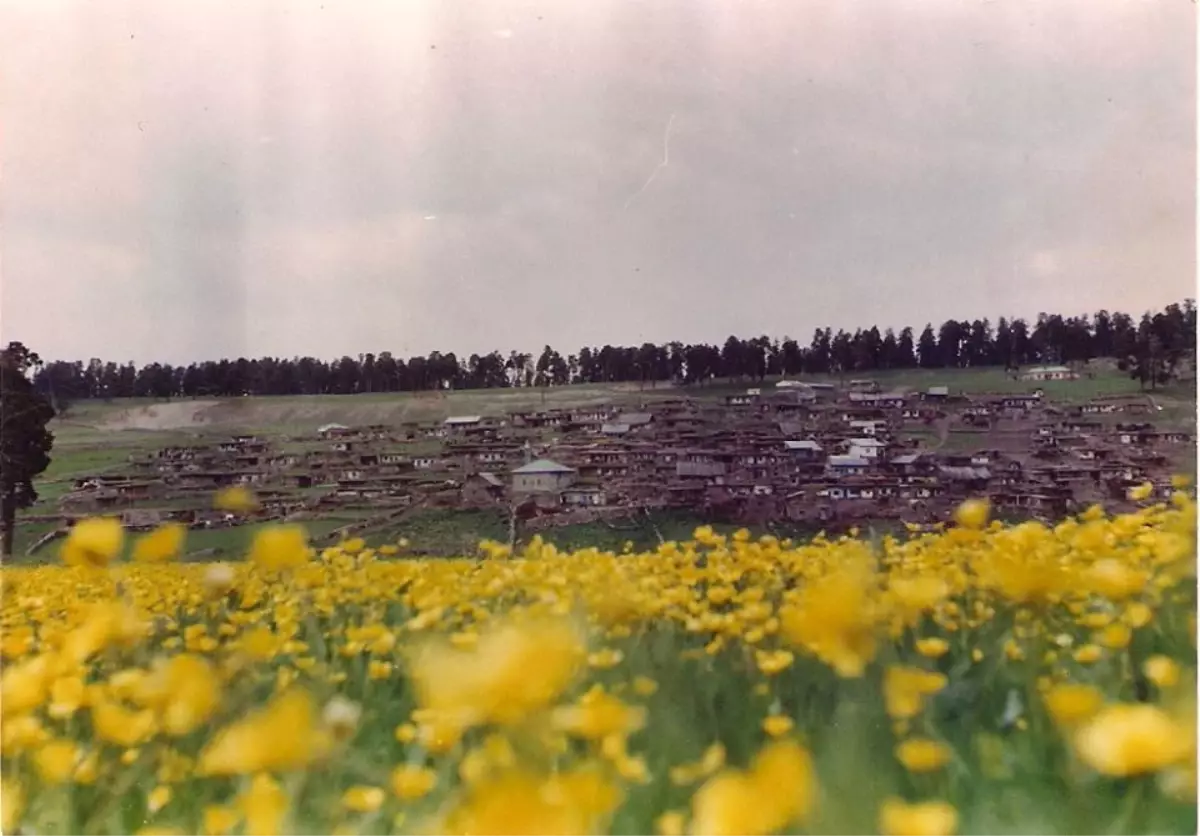 Şenkaya\'da Yayla Şenlikleri Hazırlıkları