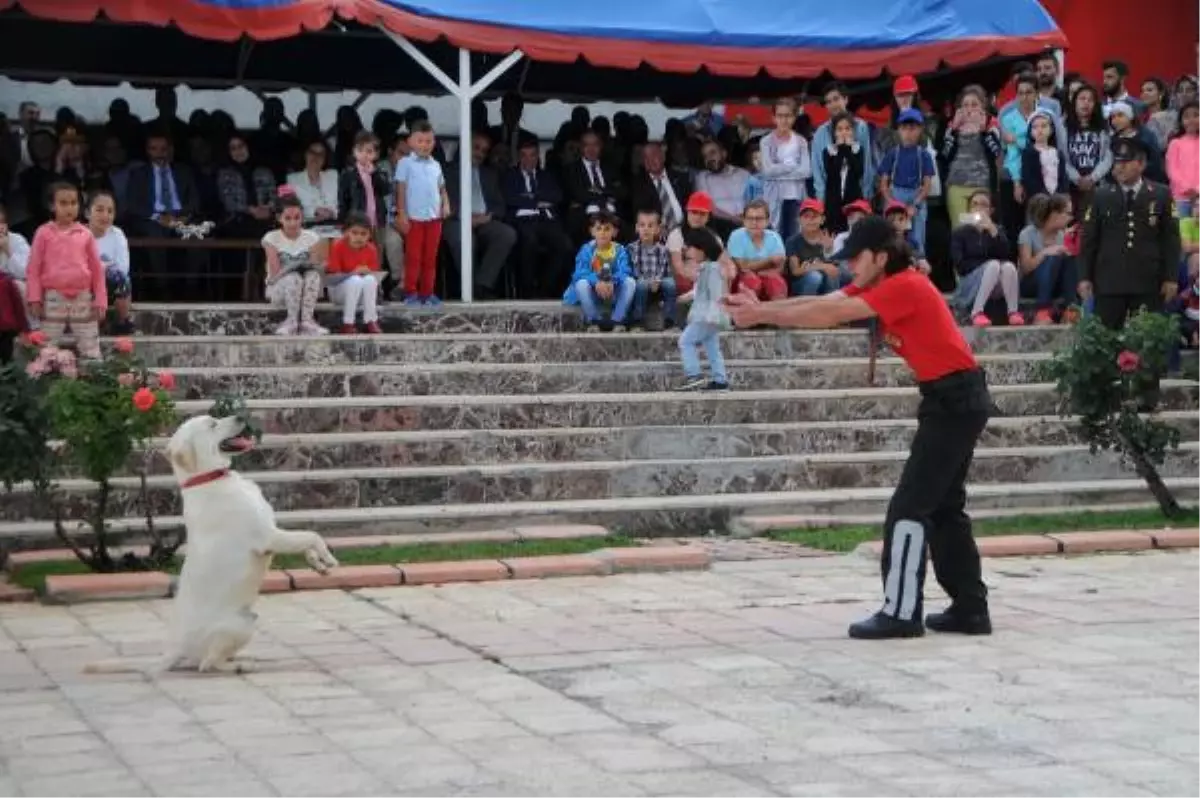 Tunceli\'de Jandarmanın Dedetör Köpekleri Nefes Kesti 2