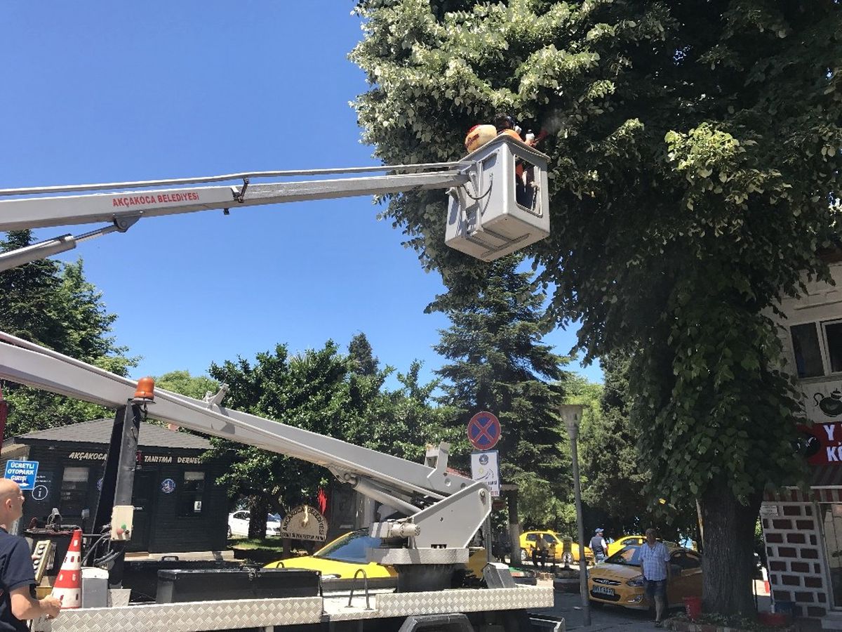 Akçakoca Belediyesi Haşarat ile Mücadelesini Sürdürüyor