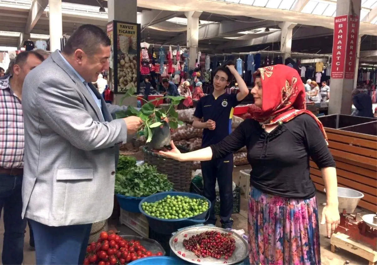 Alaplı İlçe Merkezine Çok Amaçlı Hizmet Alanı Yapılacak