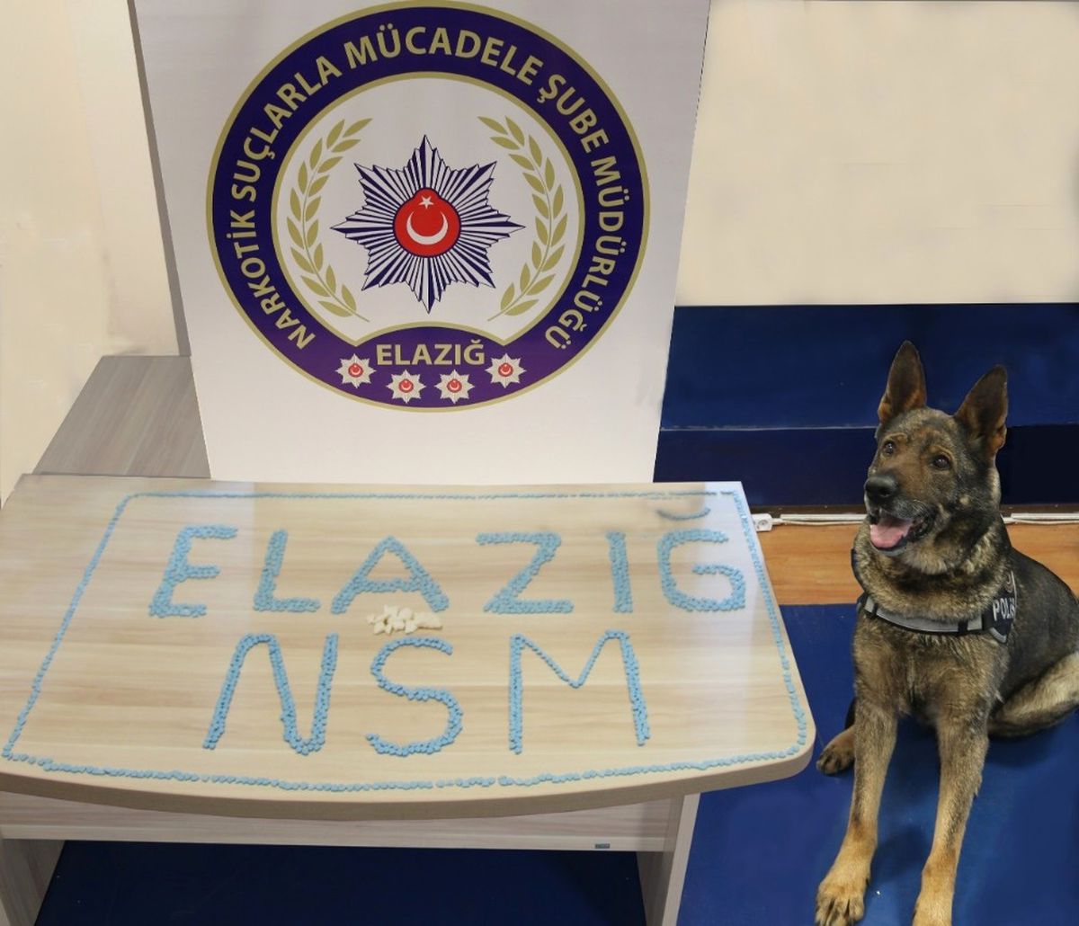 Ayakkabıda Kokain, Kutusunda Ecstasy Ele Geçirildi
