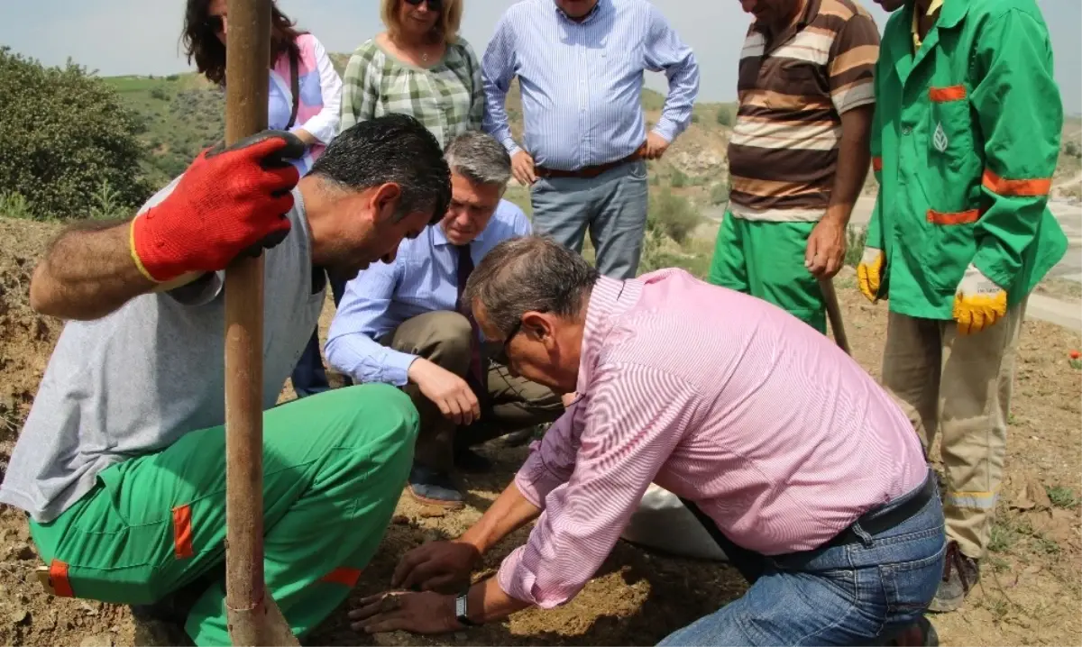 Çankaya\'da "Enerji Ormanı" İçin İlk Tohumlar Atıldı