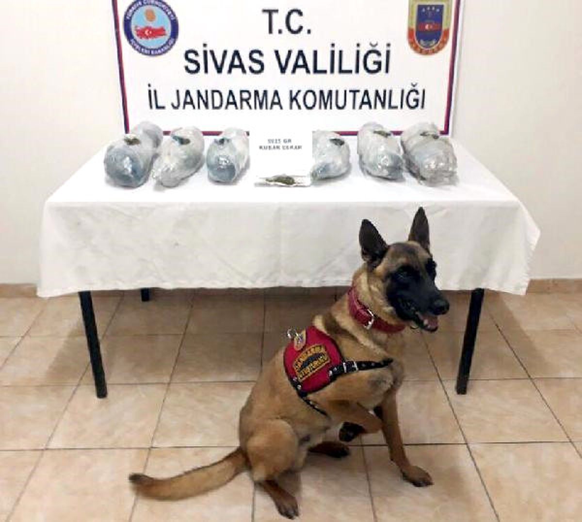 Otobüste 5 Kilo Esrar Ele Geçirildi