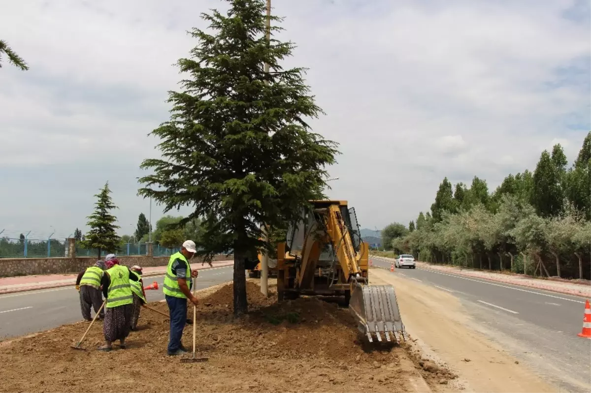 Seydişehir\'de Damlama Sulama Hattı Yenileme ve Çimlendirme Çalışması