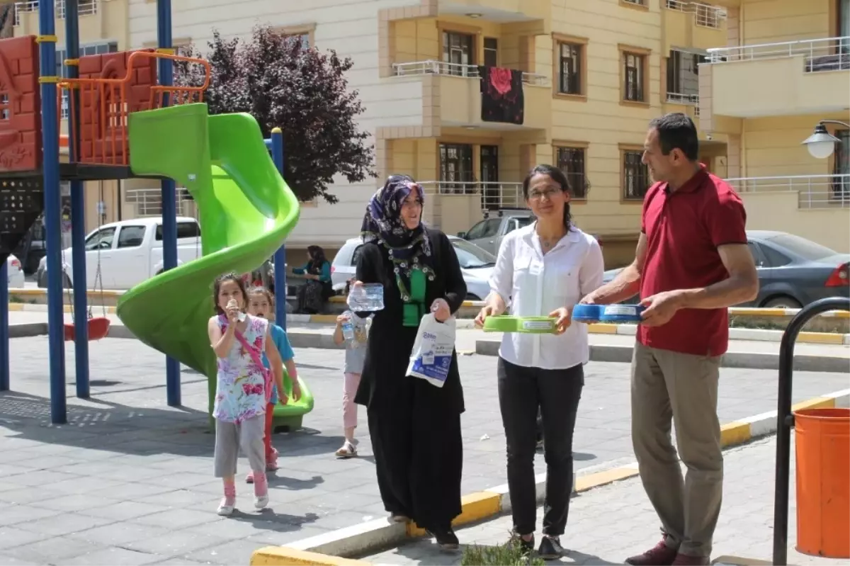 Sokak Hayvanları Unutulmadı